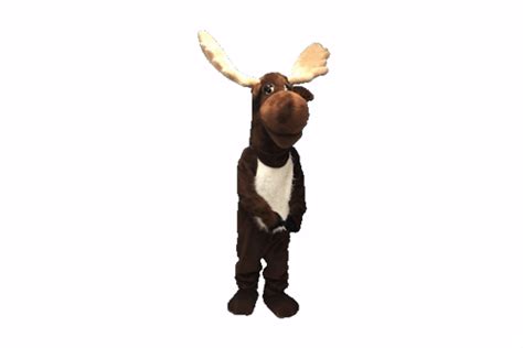 funny moose memes|dancing moose gif.